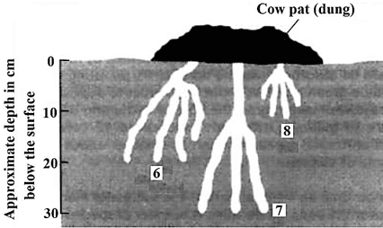 Instruction image